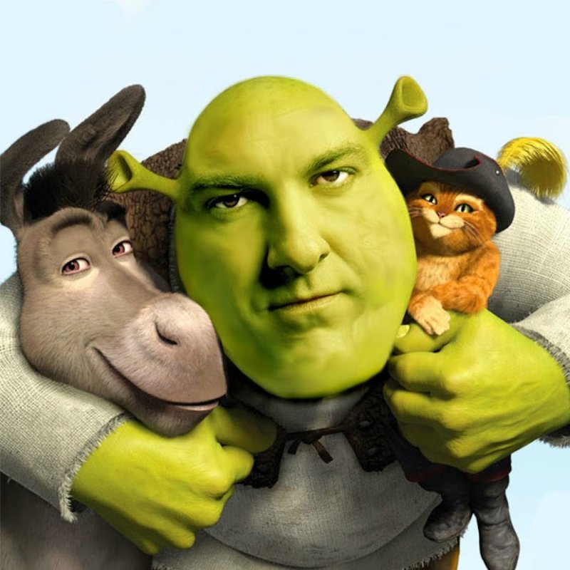 Shrek meets Sanchez