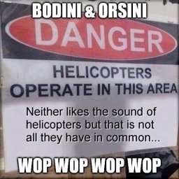 Bodini.jpg