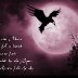 Messages on Moon Beams