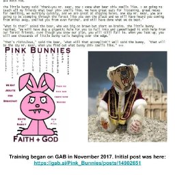 PINK BUNNIES - Boot Camp Stage 1 - White Rabbit Red Pill.jpg