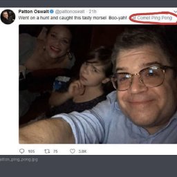 Oswalt.jpg