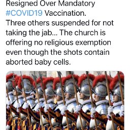 swiss guard.jpeg