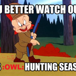 Owl hunting.png