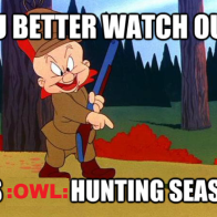 Owl hunting