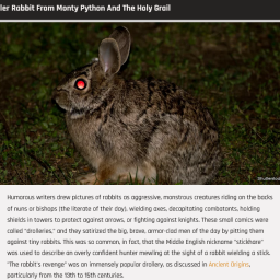 Screenshot 2023-09-26 at 11-27-24 The Truth About The Killer Rabbit From Monty Python And The Holy Grail - Grunge.png