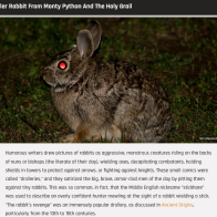 Screenshot 2023-09-26 at 11-27-24 The Truth About The Killer Rabbit From Monty Python And The Holy Grail - Grunge