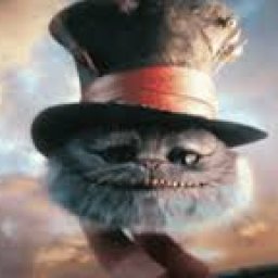 serveimage (3).jpg