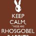 Rhosgobel Rabbits