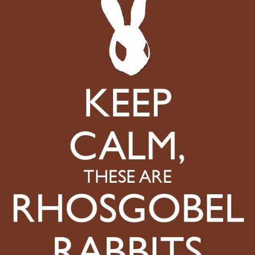 Rhosgobel Rabbits
