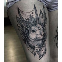 Rabbits (15).jpg