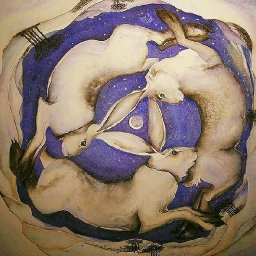 Rabbits (16).jpg