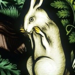 Rabbits (20).jpg