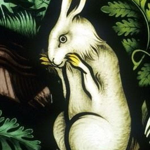 Rabbits (20)