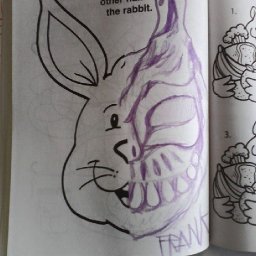 Rabbits (37).jpg