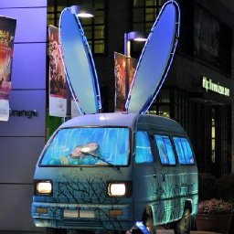 Rabbits (55).jpg