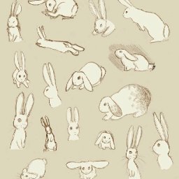 Rabbits (61).jpg