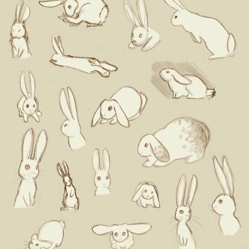 Rabbits (61)