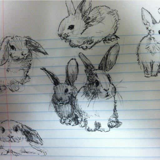 Rabbits (70)