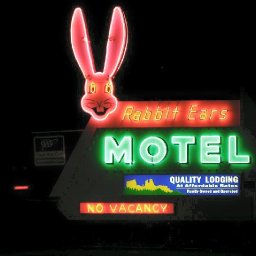 Rabbits (71).jpg