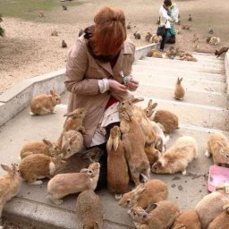 Rabbits (81).jpg