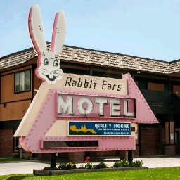 Rabbits (90).jpg