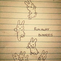 Rabbits (101).jpg