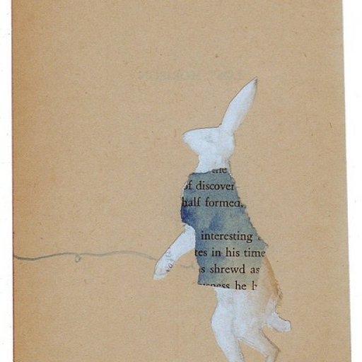 Rabbits (105)