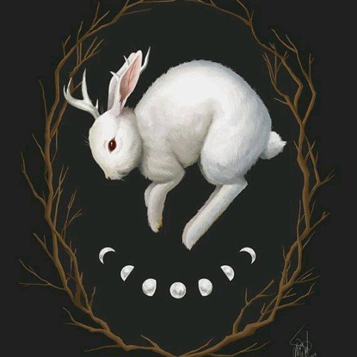 Rabbits (109)