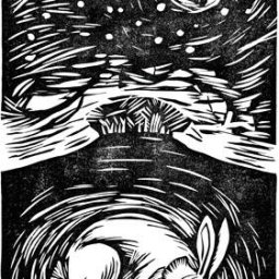 Rabbits (112).jpg