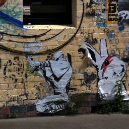 Rabbits (122).jpg