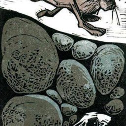 Rabbits (124).jpg