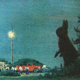 Rabbits (130).jpg