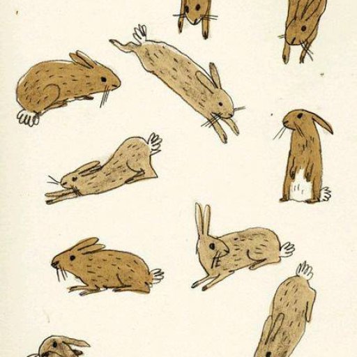 Rabbits (133)