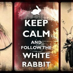 Rabbits (138).jpg