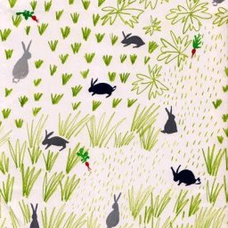 Rabbits (142).jpg