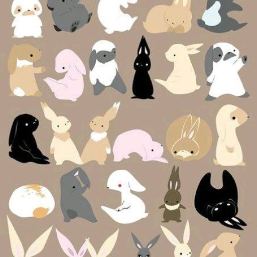 Rabbits (148)