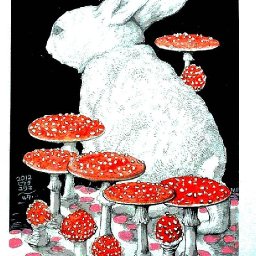 Rabbits (166).jpg