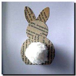 Rabbits (171).jpg