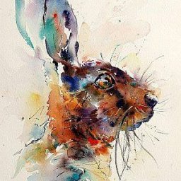 Rabbits (172).jpg
