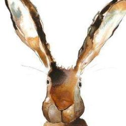 Rabbits (173).jpg