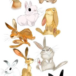 Rabbits (174).jpg