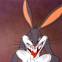 Rabbits (184).jpg