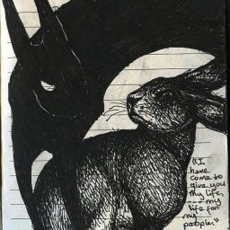 Rabbits (188).jpg
