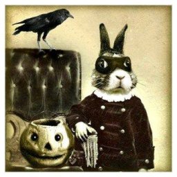 Rabbits (197).jpg