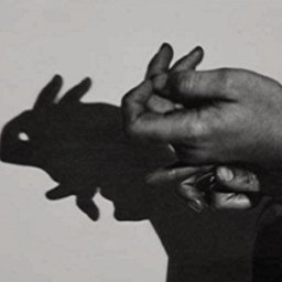 Rabbits (201).jpg