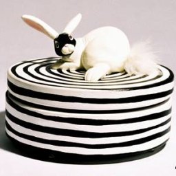 Rabbits (208).jpg
