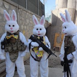 Rabbits (214).jpg