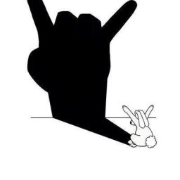 Rabbits (219).jpg