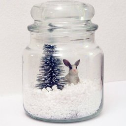 Rabbits (223).jpg