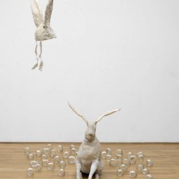 Rabbits (240).jpg